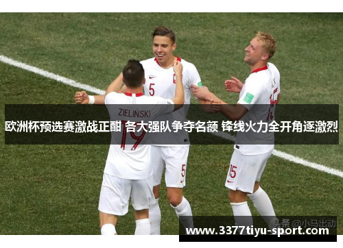 欧洲杯预选赛激战正酣 各大强队争夺名额 锋线火力全开角逐激烈